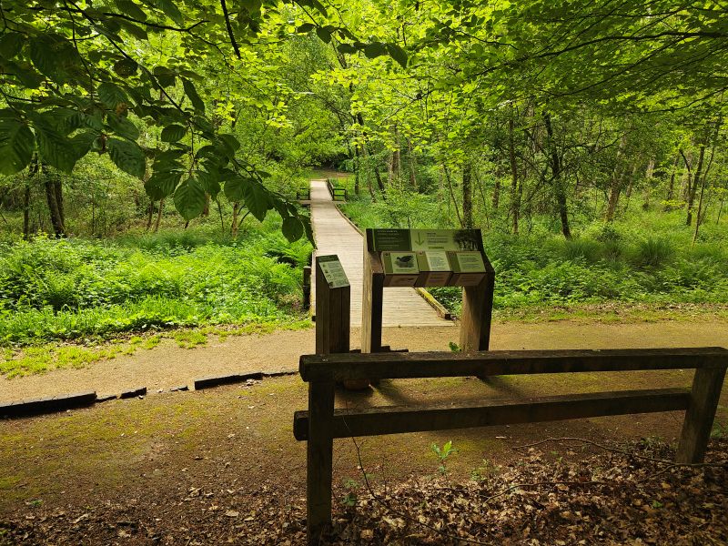 Vallée Bois Ainaux