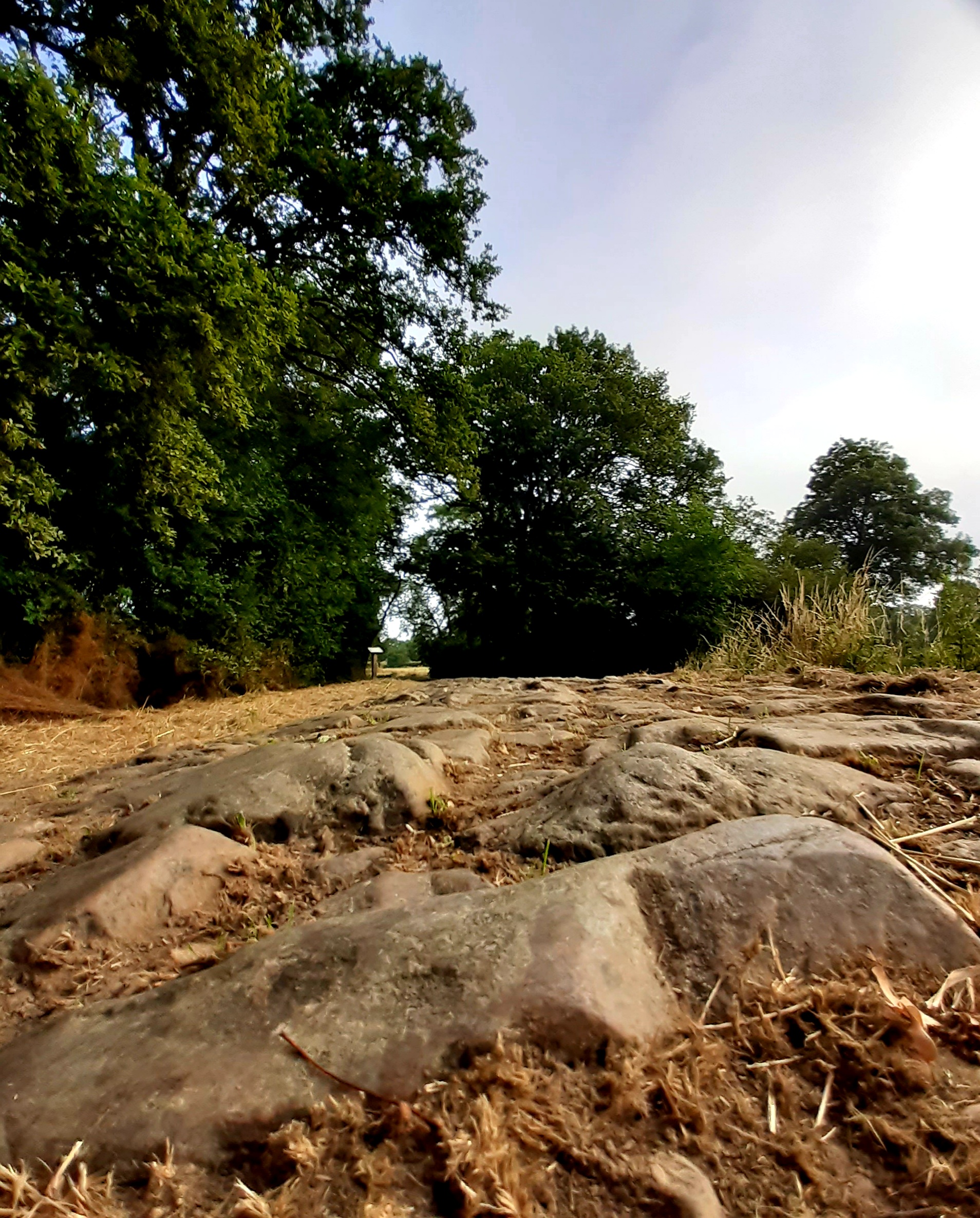 VoieRomaine_Langon_OTPR (7) - Morgane Busnel-Masson