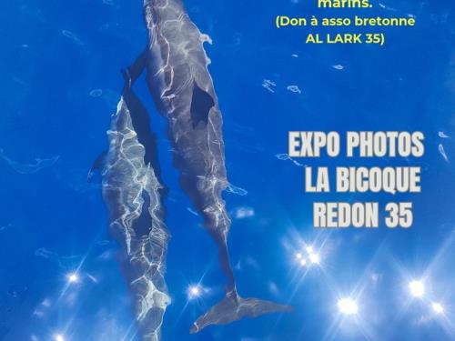 affiche expo photo