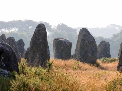Alignements-Carnac-Kermario-Morbihan-Bretagne-Sud