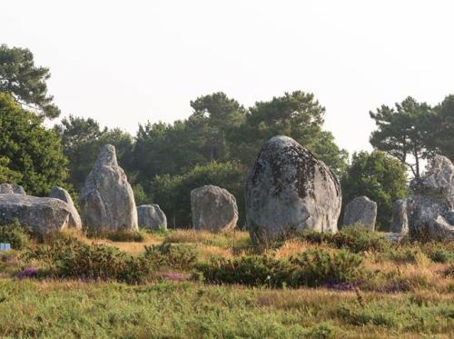 Alignements-Carnac-Kermario-Morbihan-Bretagne-Sud