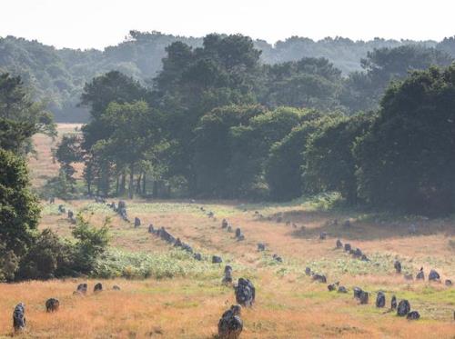 Alignements-Carnac-Kermario-Morbihan-Bretagne-Sud