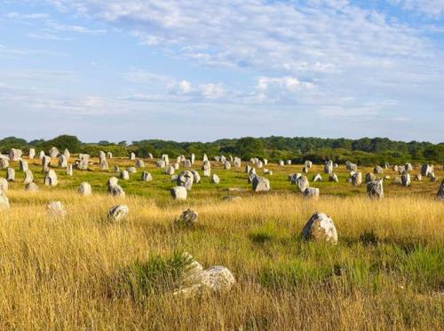 Alignements-Carnac-Menec-Morbihan-Bretagne-Sud