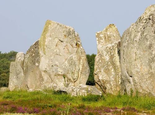 Alignements-Carnac-Menec-Morbihan-Bretagne-Sud