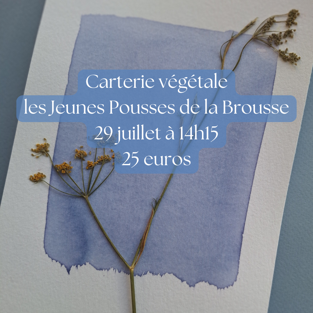 © Jeunes Pousses de la Brousse