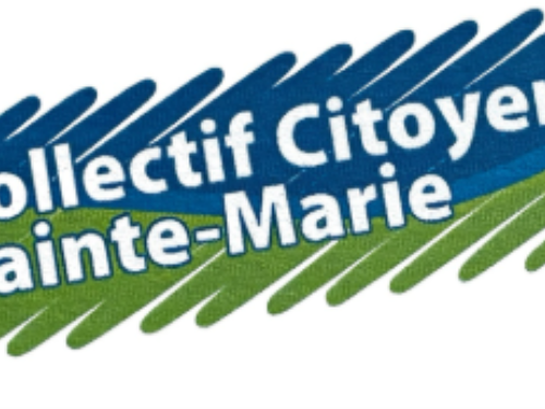 logo collectif—ccdsm logo collectif