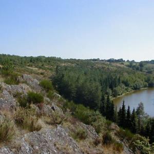 Le Vallon de la chambre au loup—© Office de tourisme de Montfort Communauté Le Vallon de la chambre au loup
