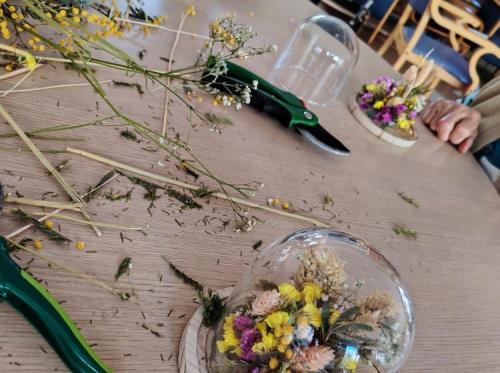 cloche éco-responsable