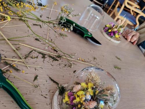 cloche éco-responsable