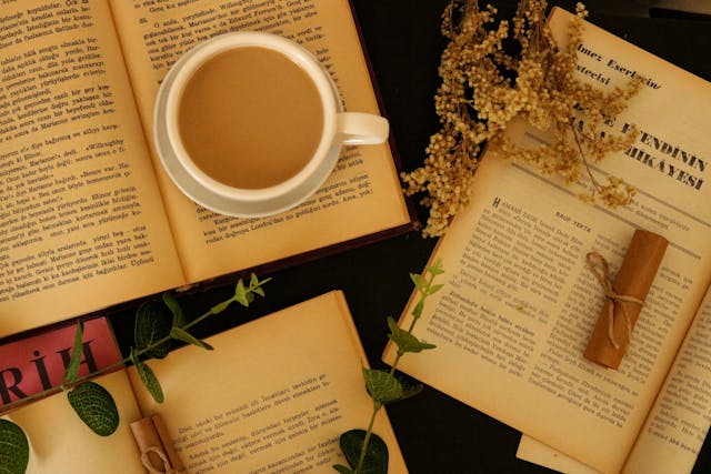 club de lecture tulalu - mediatheque_pays_redon