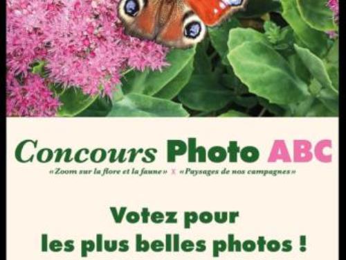 concours photo
