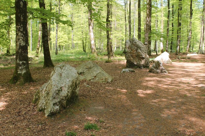 Cordon des Druides - Forêt de Fougères