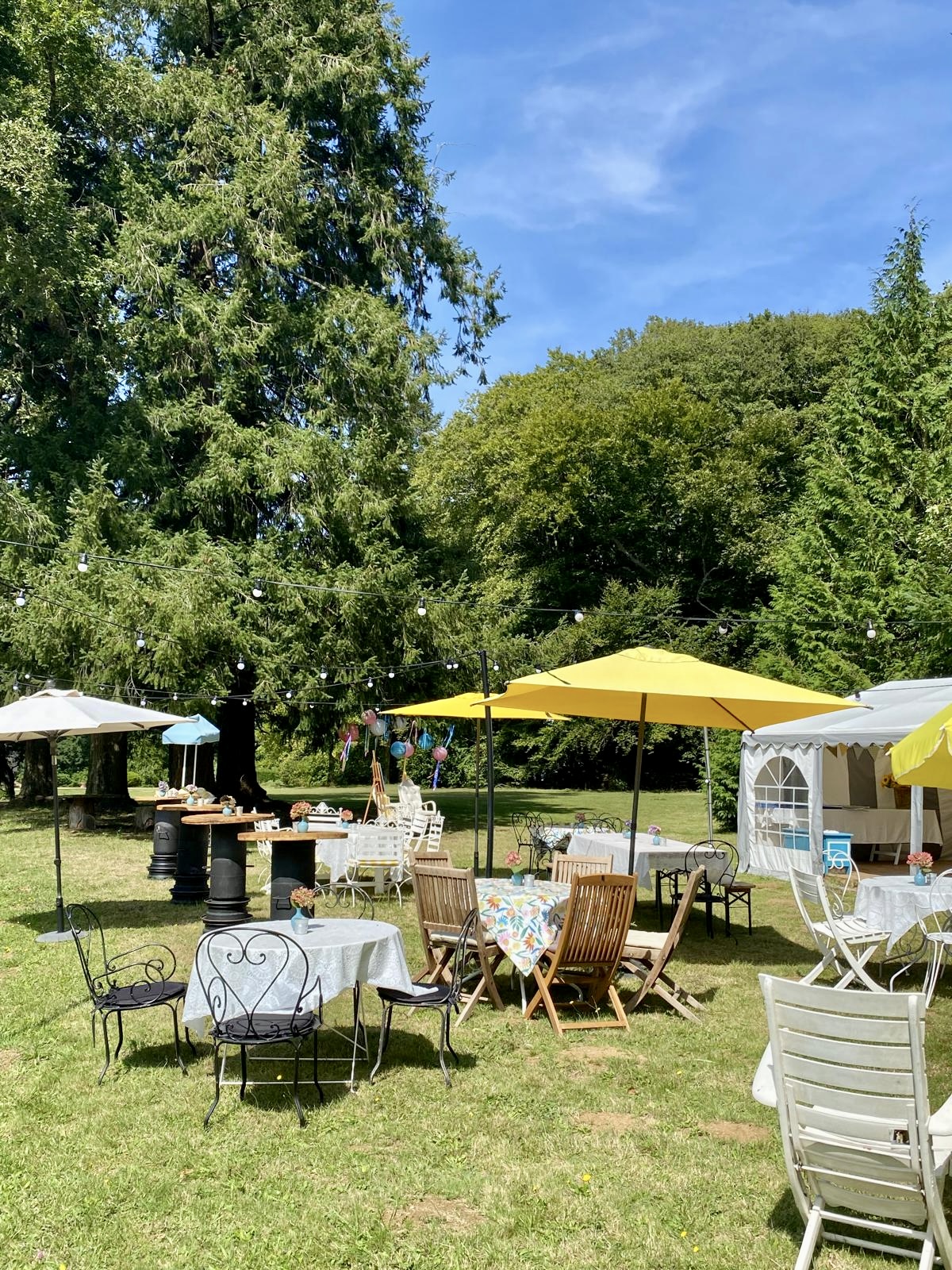 d1b5e898-9bc1-47d7-ad4f-bddff73e18e2 - The pless to bee