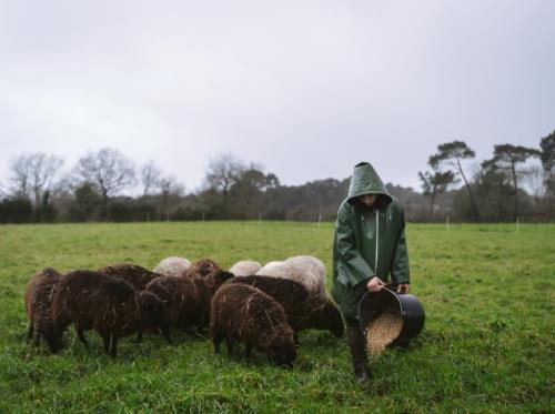 des mains qui nourrissent