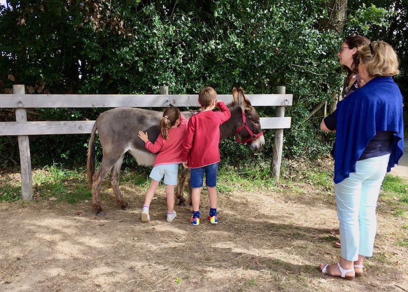 enfants 3 - aux_anes_etc