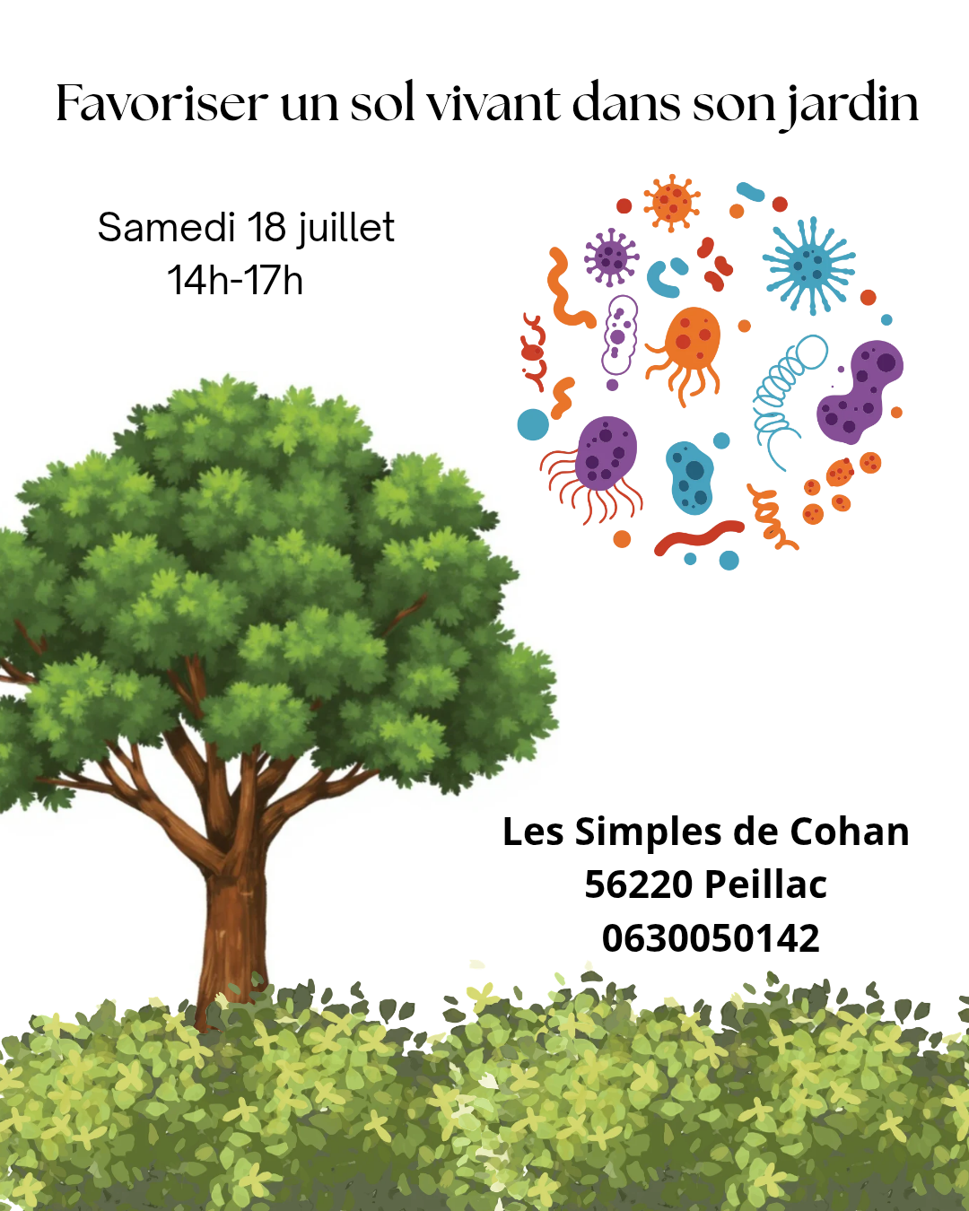 Favoriser un sol vivant dans son jardin  - Les Simples de Cohan 