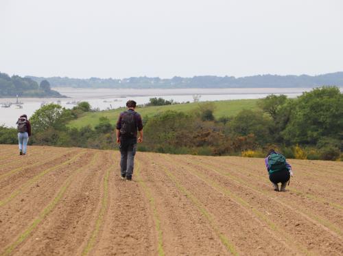 prospection archéologique