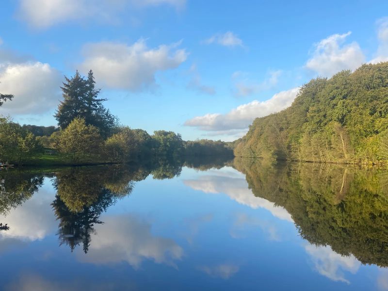 Etang de Saint-François