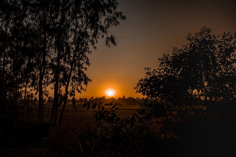 ©  Jayant Chaudhary