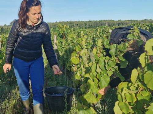 khkjh—Youena Lugué khkjh