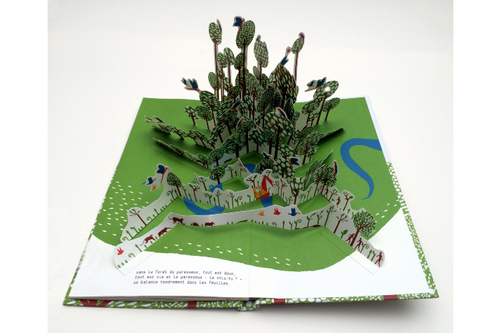 la_foret_du_paresseux_intro_mini - mediatheque_pays_redon