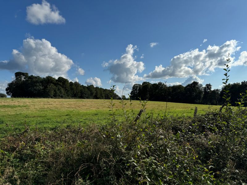 Les Landes de Pavée