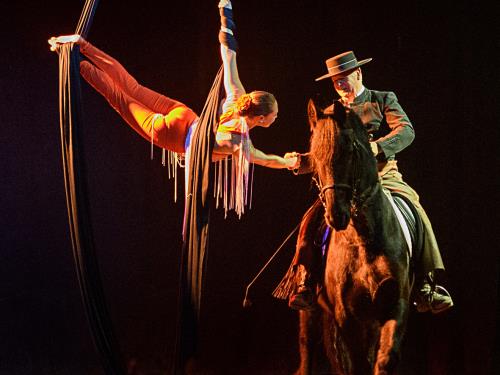 Les chevaux dansent à la bodega
