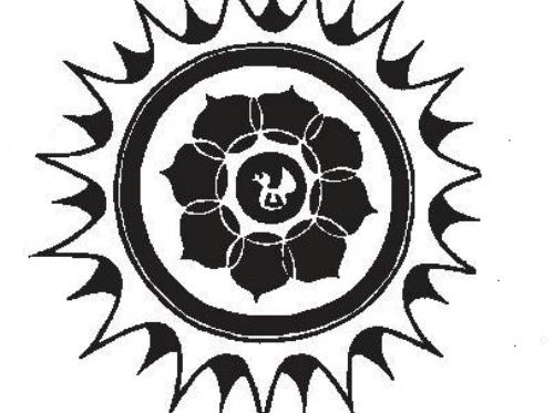 logo bogue