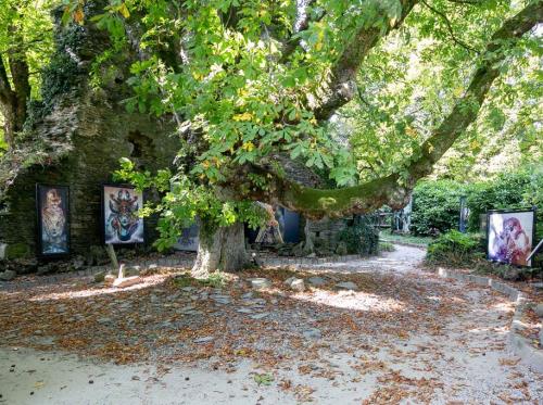 Naia Museum - Rochefort-en-Terre - Morbihan Bretagne Sud-12