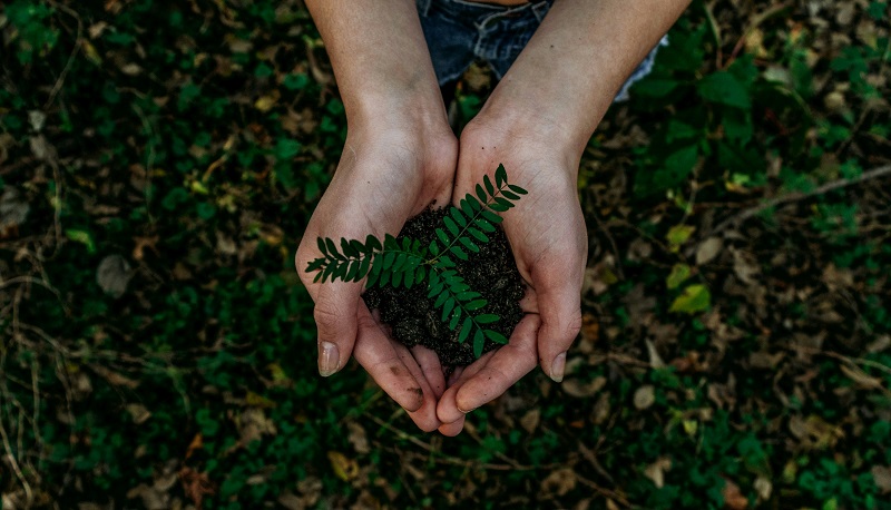 © Noah Buscher