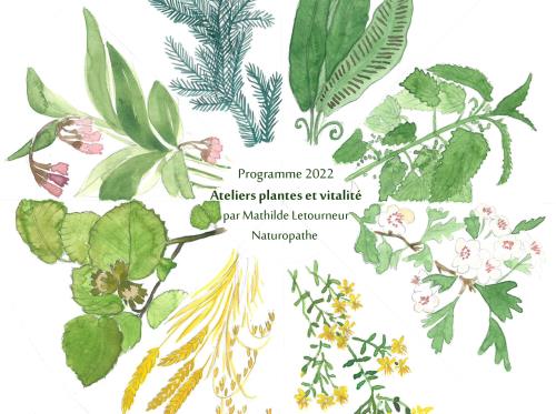 ateliers plantes et vitalité