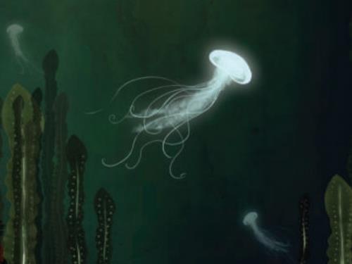 spectacle sous les mers—mediatheque_pays_redon spectacle sous les mers