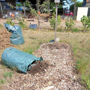 Tous au jardin - Les haies sèches