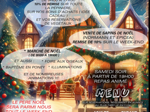 Le jardin des oiseaux fête Noël Du 30 nov au 1 déc 2024